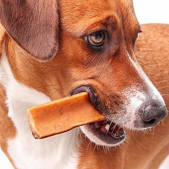 Yak Milk Chews for Dogs